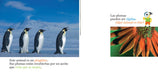 Inside pages show text and two photographs; one is of four penguins and one is a close up of a birds feathers.