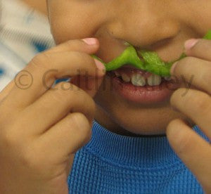 image of a child with a food mustache