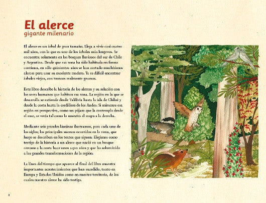 Inside page has text on the left and an illustration of a flying owl and other animals in the forest.