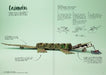 Inside page of the book depicting a home made crocodile with the instructions to assemble it