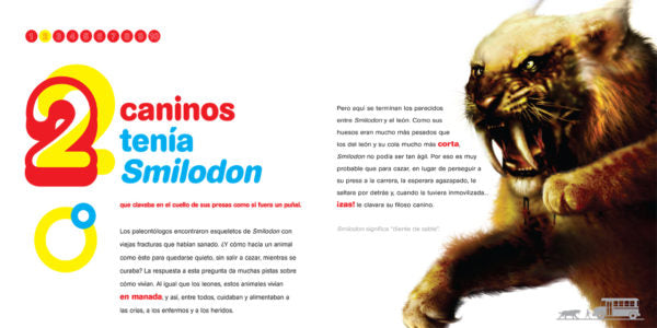 Page of the book with an illustration of a Smilodon cat