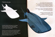 Inside pages of the book depicting an illustration of a whale shark