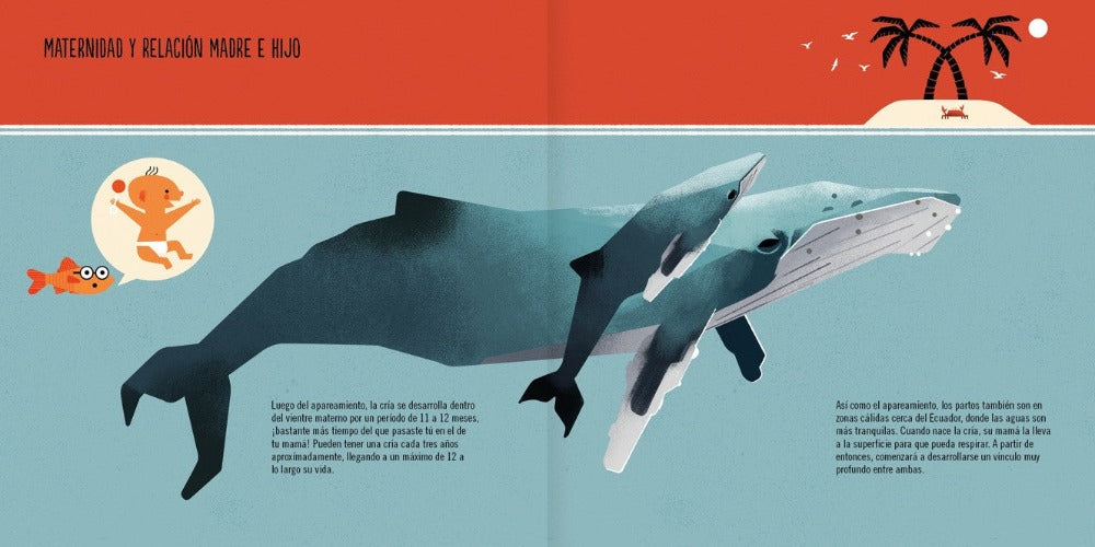 inside page illustrates whales underwater