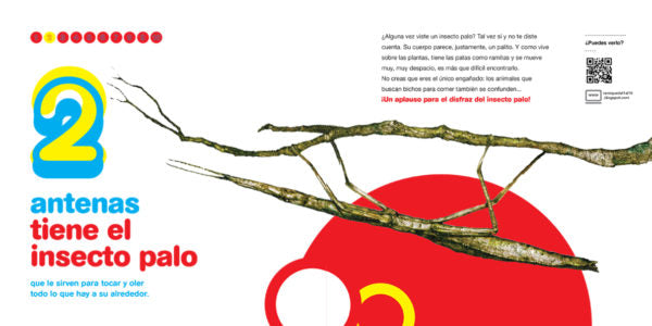 inside page depicting a stick insect