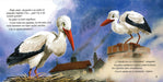 Illustration of two storks standing at the top of a chimney.