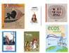Photo depicting a set of different books for kids