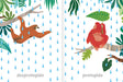 Inside pages illustrate apes in the rain, one is wet and the other is dry.