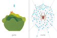 Inside pages illustrate a spider in a web and a snail on a leaf.