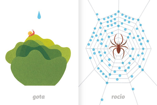 Inside pages illustrate a spider in a web and a snail on a leaf.
