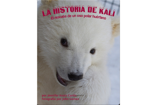Book cover of La Historia de Kali el Rescate de un oso Polar Huerano with an illustration of a polar bear cub.