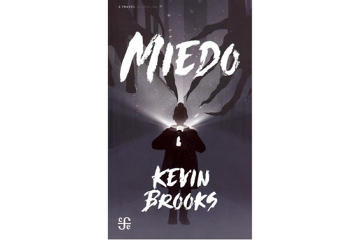 Book cover of Meido with an illustration of a person with a flashlight.