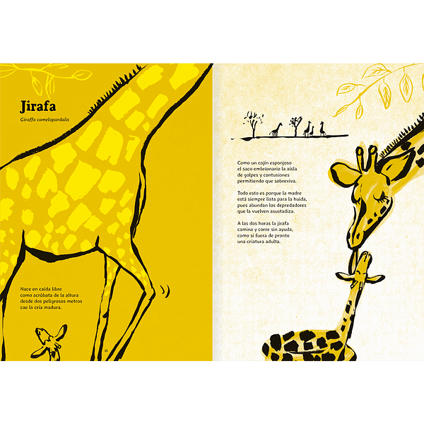 Inside pages show text and an illustration of a mother giraffe licking her baby's face clean.