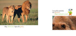 Inside pages of book show text and two photographs, one of two lions, and another close up photograph of a brown bear's fur.