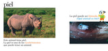 book page illustrates a rhino