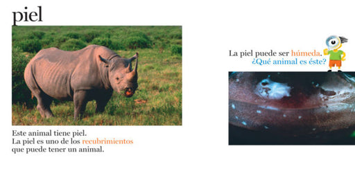 Inside pages show text and two photographs, one of a rhino and another close up photograph of a water animals skin.