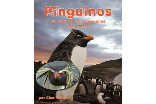 Book cover of Pinguinos un Libro de Comparaciones y Contrastes with a photograph of a flock of penguins.