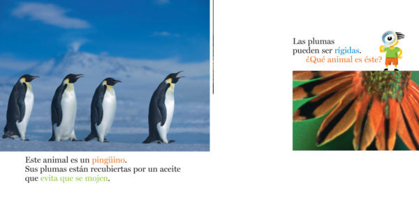 book page illustrates 4 penguins