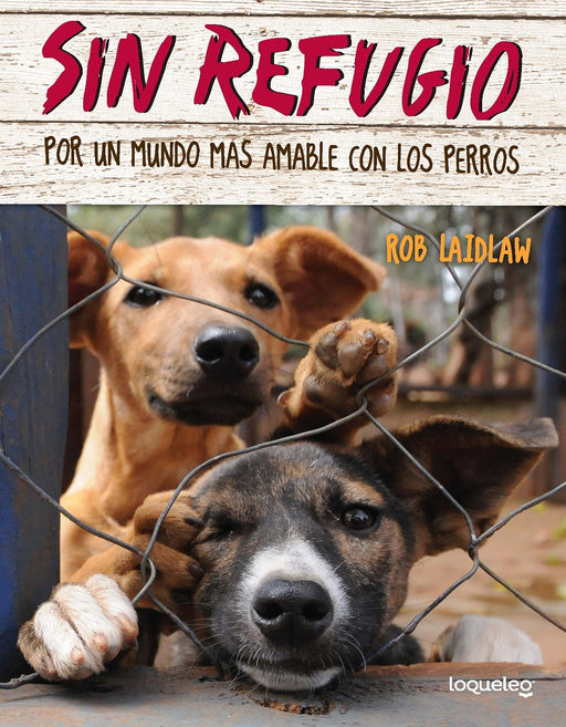 Book cover of Sin Refugio: por un Mundo Mas Amable con los Perros with a photograph of two dogs behind a fence.
