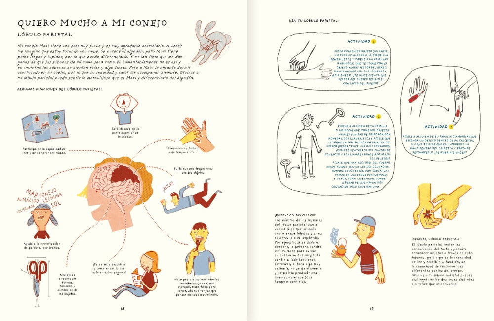Inside book pages show text and different illustrations of  parts of the brain and activities associated with each part.