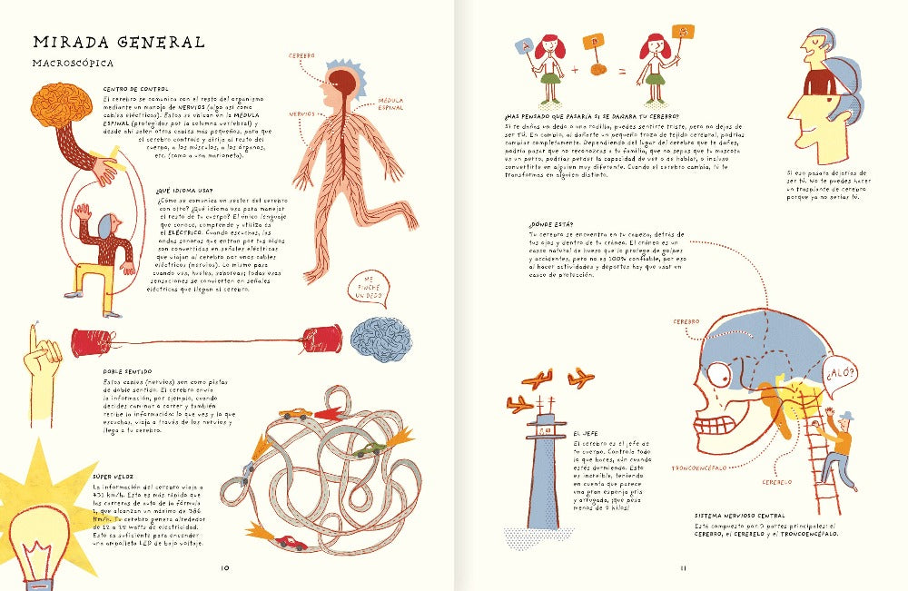 Inside book pages show text and illustrations of human brain diagrams and ways thinking works.