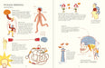 book page illustrates human brain diagrams and ways thinking works