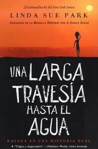 Book cover of Una Larga Travesia Hasta El Agua with the silhouette of a person standing against a sunset.