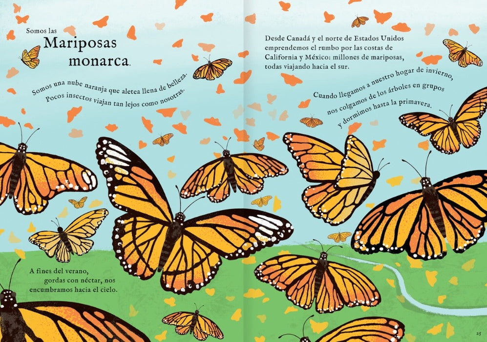 Inside book pages show text and illustrations of butterflies flying.