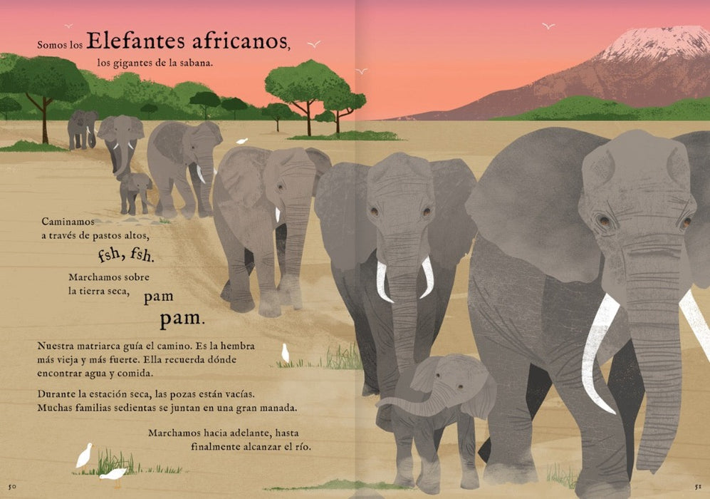 Inside book pages show text and an illustration of elephants in a line.