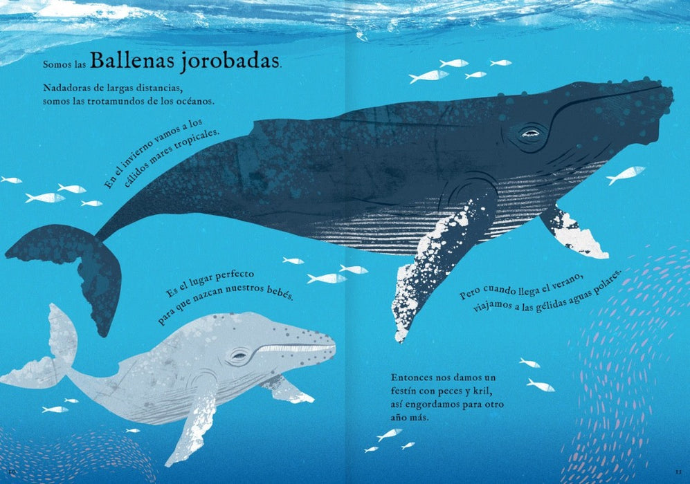 Inside book pages show text and an illustration of two blue whales swimming.