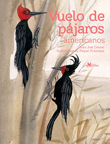 Book cover of Vuelo de Pajaros Americanos with an illustration of two birds in a tree.