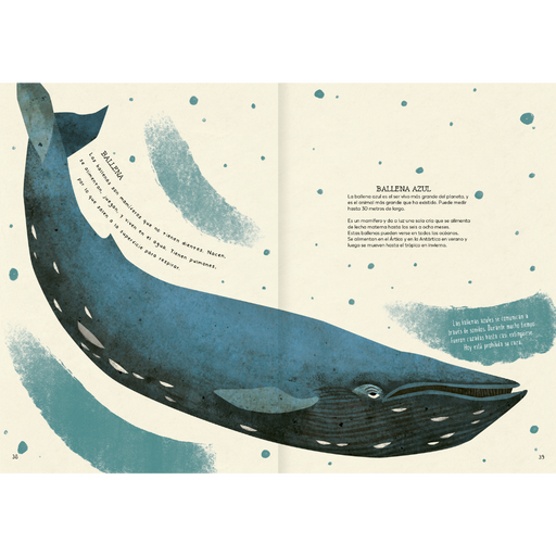 Inside page shows text and an illustration of a blue whale.