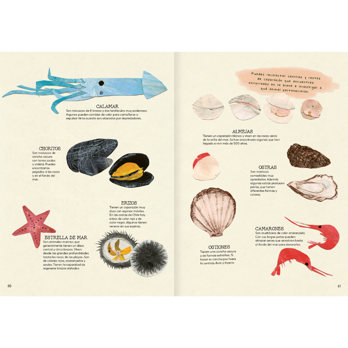 Inside pages of book show text and different illustrations of sea creatures.
