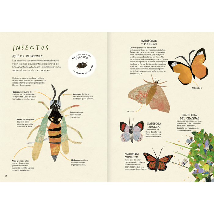 Inside pages of book show text and various illustrations of insects.