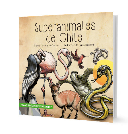 Book cover of Superanimales de Chile with illustrations of a vulture, a flamingo, a deer, a turtle, a bird, a lizard, and a snake.